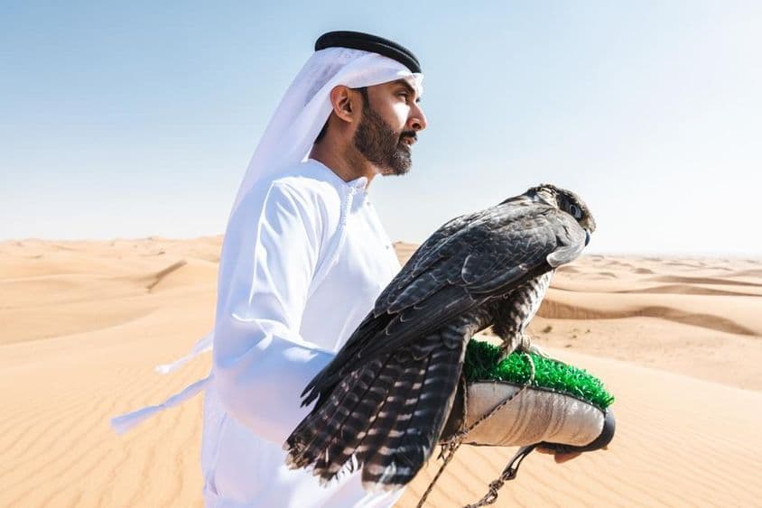 Egy emirati vadász sólymot tart a sivatagban a kezén.