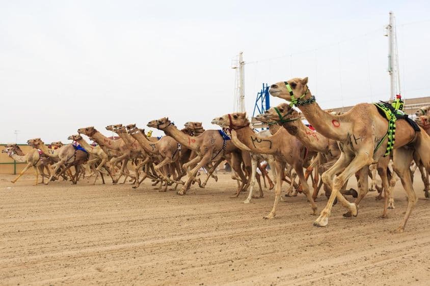Teveverseny Dubaiban.