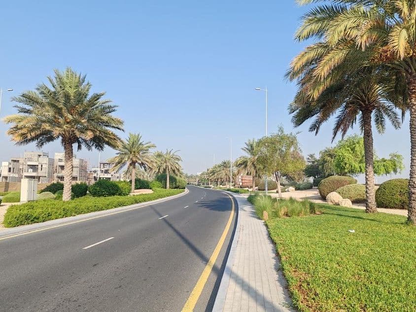 Dubai út, pálmafákkal, zöld fűvel.