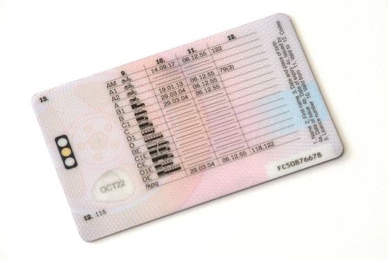 Jogosítvány hátoldala.