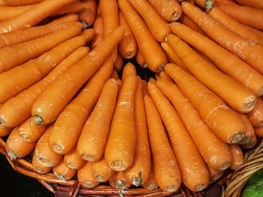 Sárgarépák.