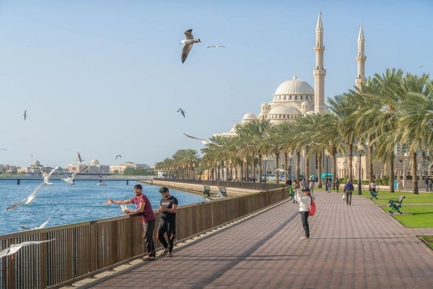 Sharjah, az Al Noor mecsettel, a Khalid-tóval és a Perzsa-öböl vizével, pálmákkal és városra néző kilátással.