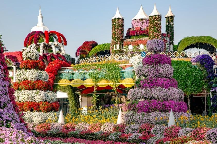 A Dubai Miracle Garden tündérkastélyokkal és több mint 45 millió virággal rendelkezik.