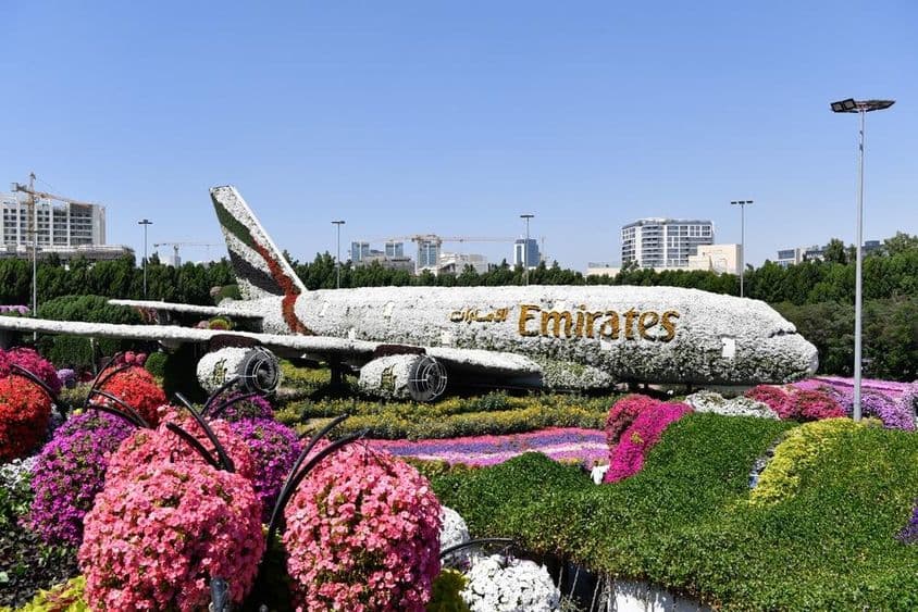Dubai Miracle Garden nappal.