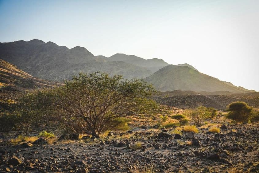 Ras Al Khaimahban található Wadi Shawka zord terepviszonyai sziklás ösvényekkel.
