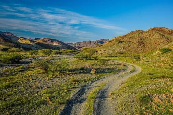 Zöld hegyek az Egyesült Arab Emírségekben.