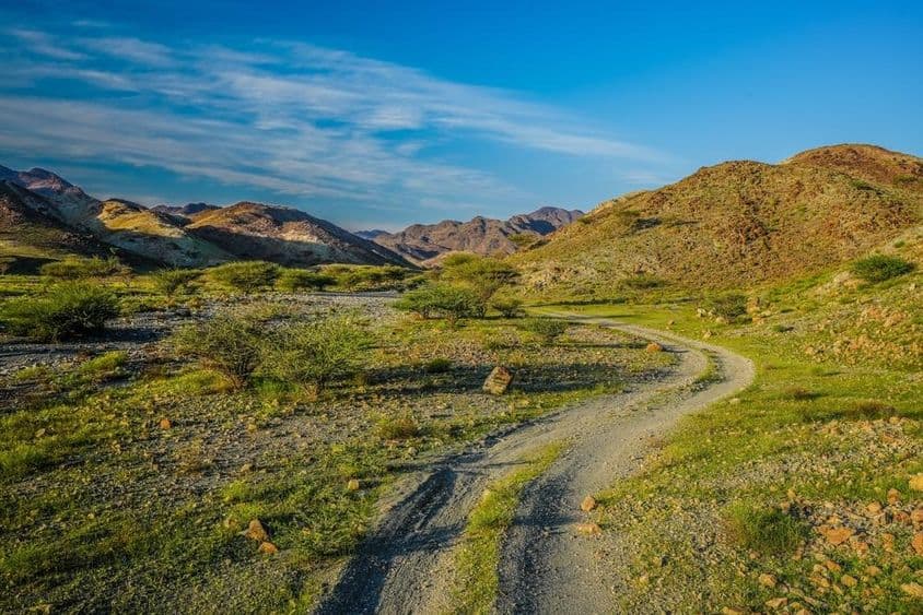 Zöld hegyek az Egyesült Arab Emírségekben.