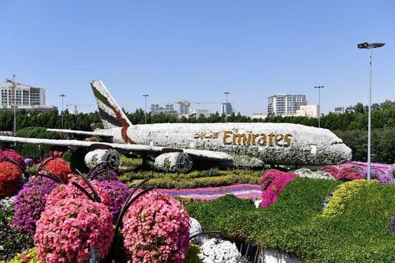 Dubai Miracle Garden nappal.