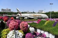 Dubai Miracle Garden nappal.