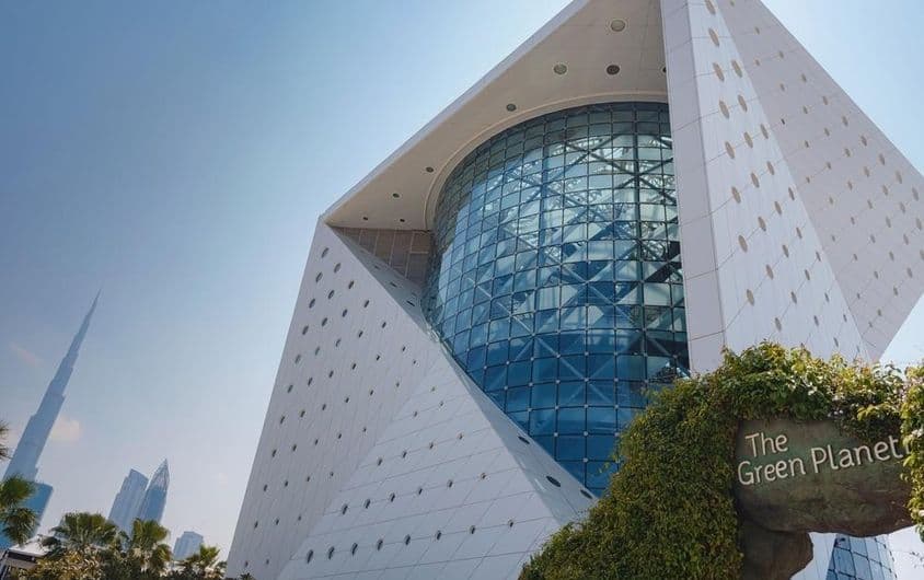 A zöld bolygó egyedülálló ökoszisztéma Dubaiban.