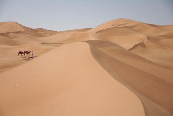 Tevék a sivatagban Dubaiban.