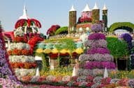 A tündérkastélyokkal és több mint 45 millió virággal teli Dubai Miracle Garden.