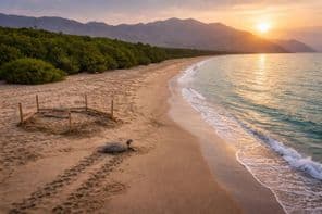 Kalba part megőrzött kincse