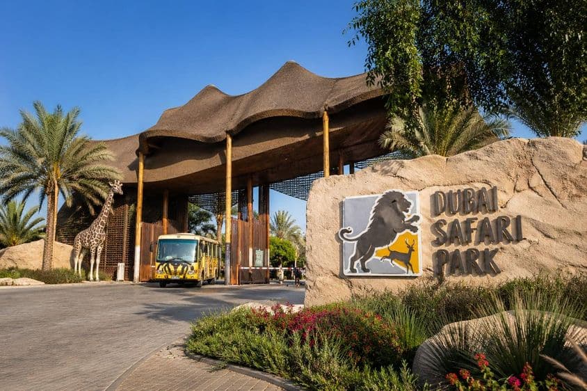 Dubai Safari Park bejárat