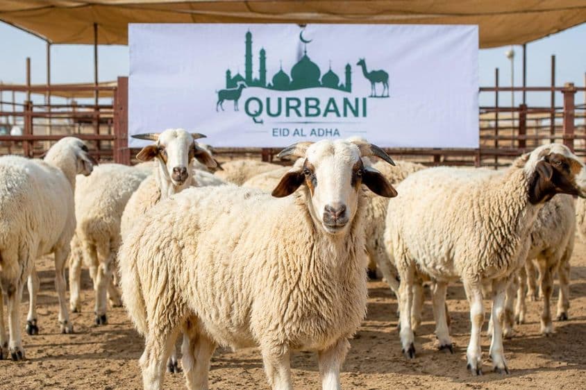 Qurbani Előkészületek Dubaiban