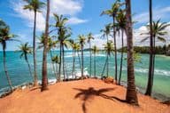 Mirissa pálmafái, Srí Lanka
